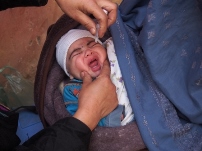 A baby received two drops of the oral polio vaccine in Balkh province
