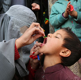 Female polio workers