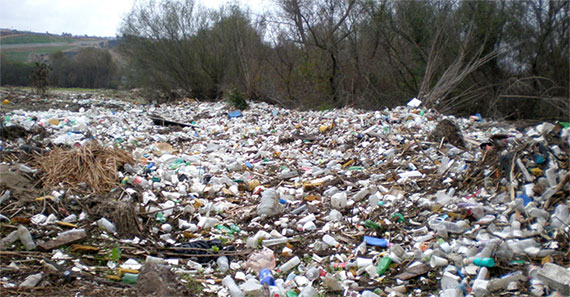 plastic bags pollution