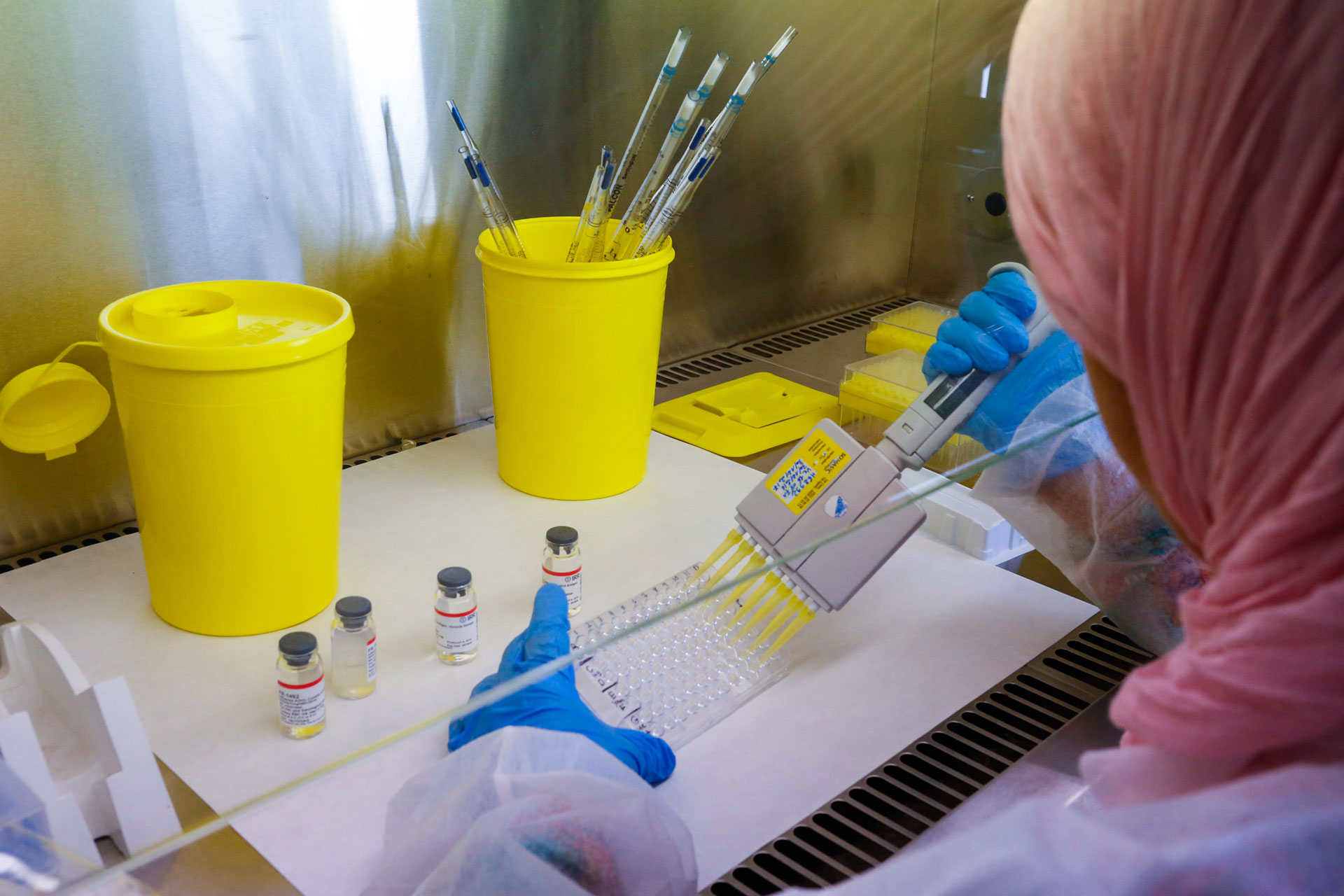 Training on influenza isolation Morocco