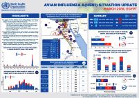 This infographic provides an overview of the H5N1 situation in Egypt as of March 2016. Click here to view.