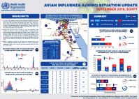 Avian influenza A(H5N1) situation update, Egypt, September 2016