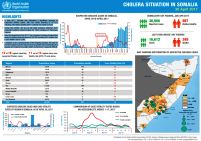 Cholera monthly report for Somalia, April 2017