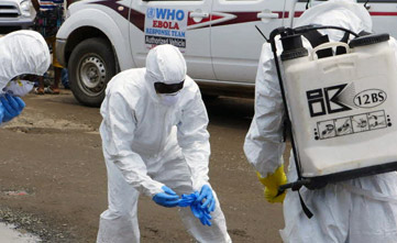 Ebola related information resources