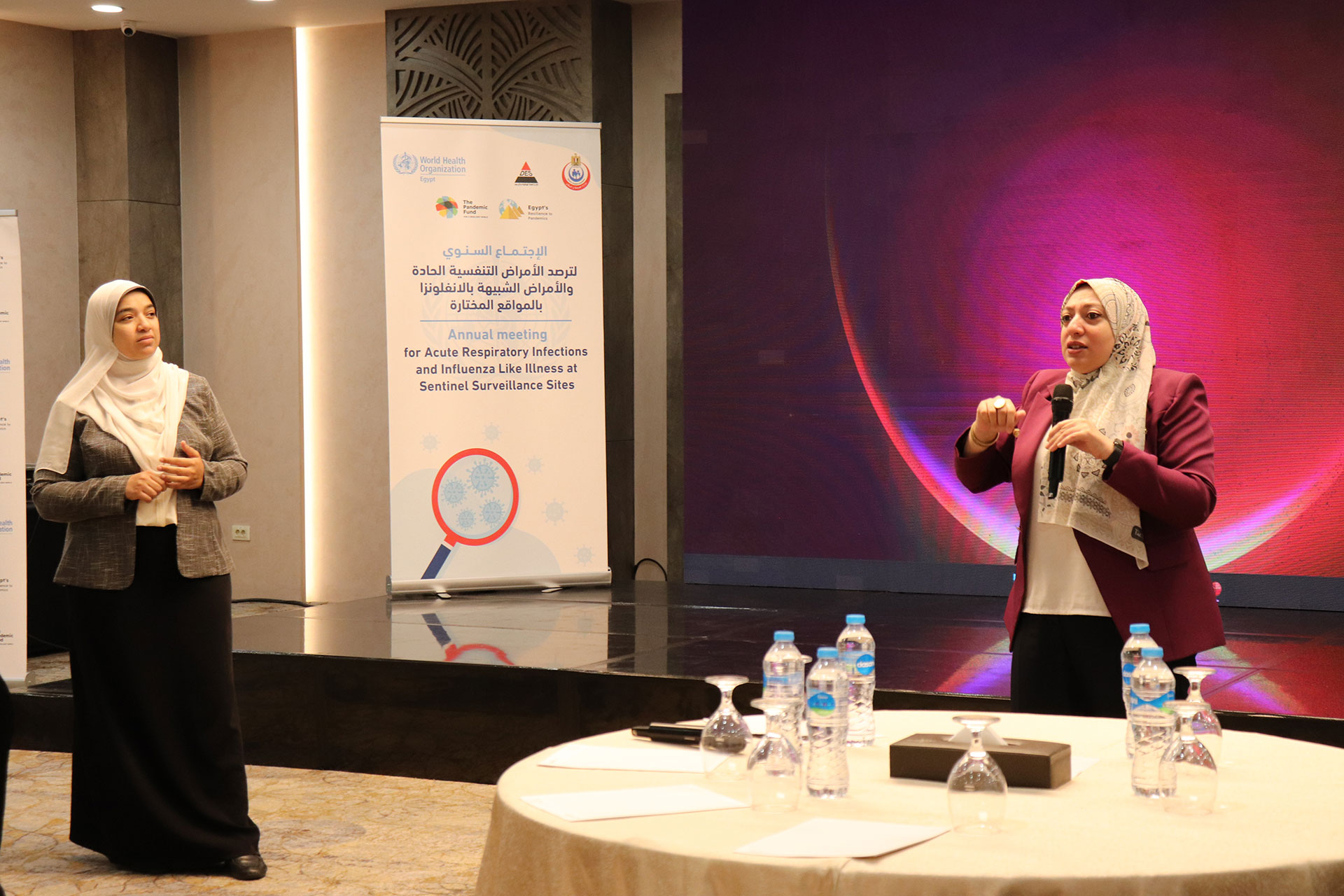 Egypt and WHO enhance national surveillance for acute respiratory infections