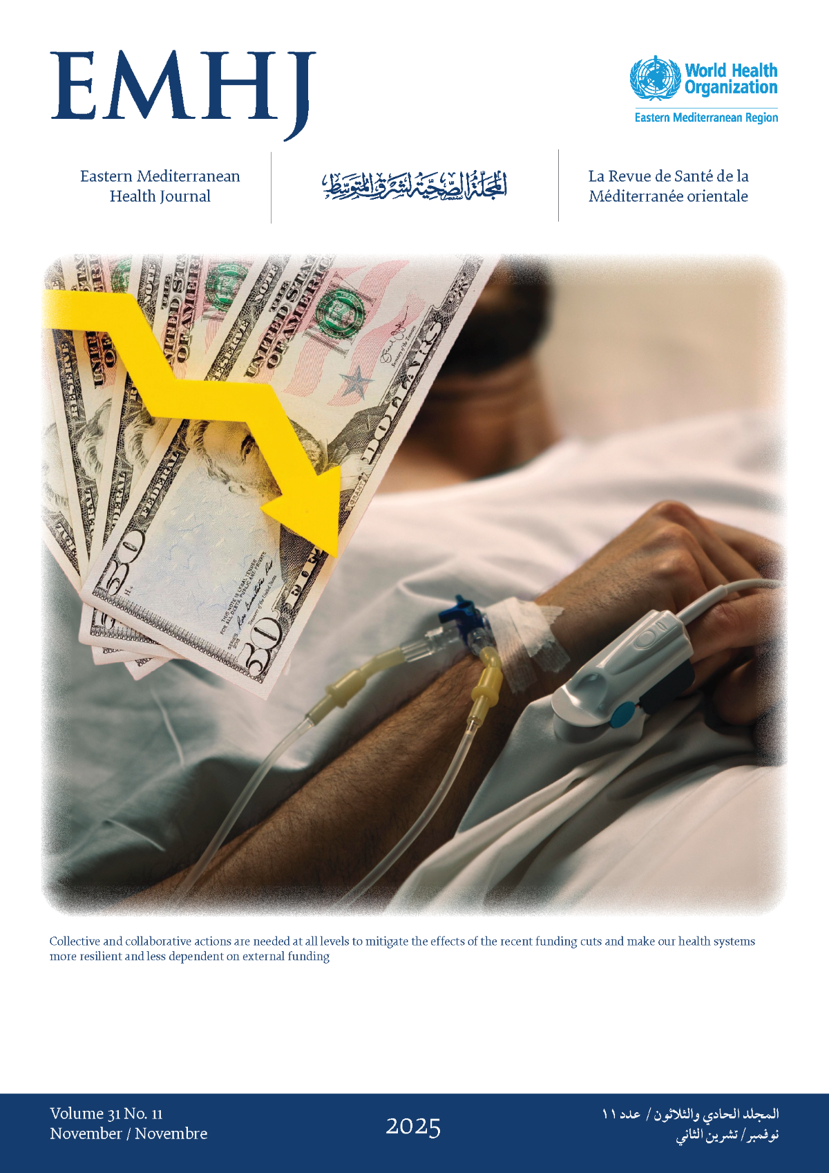 EMHJ volume 31, issue 11