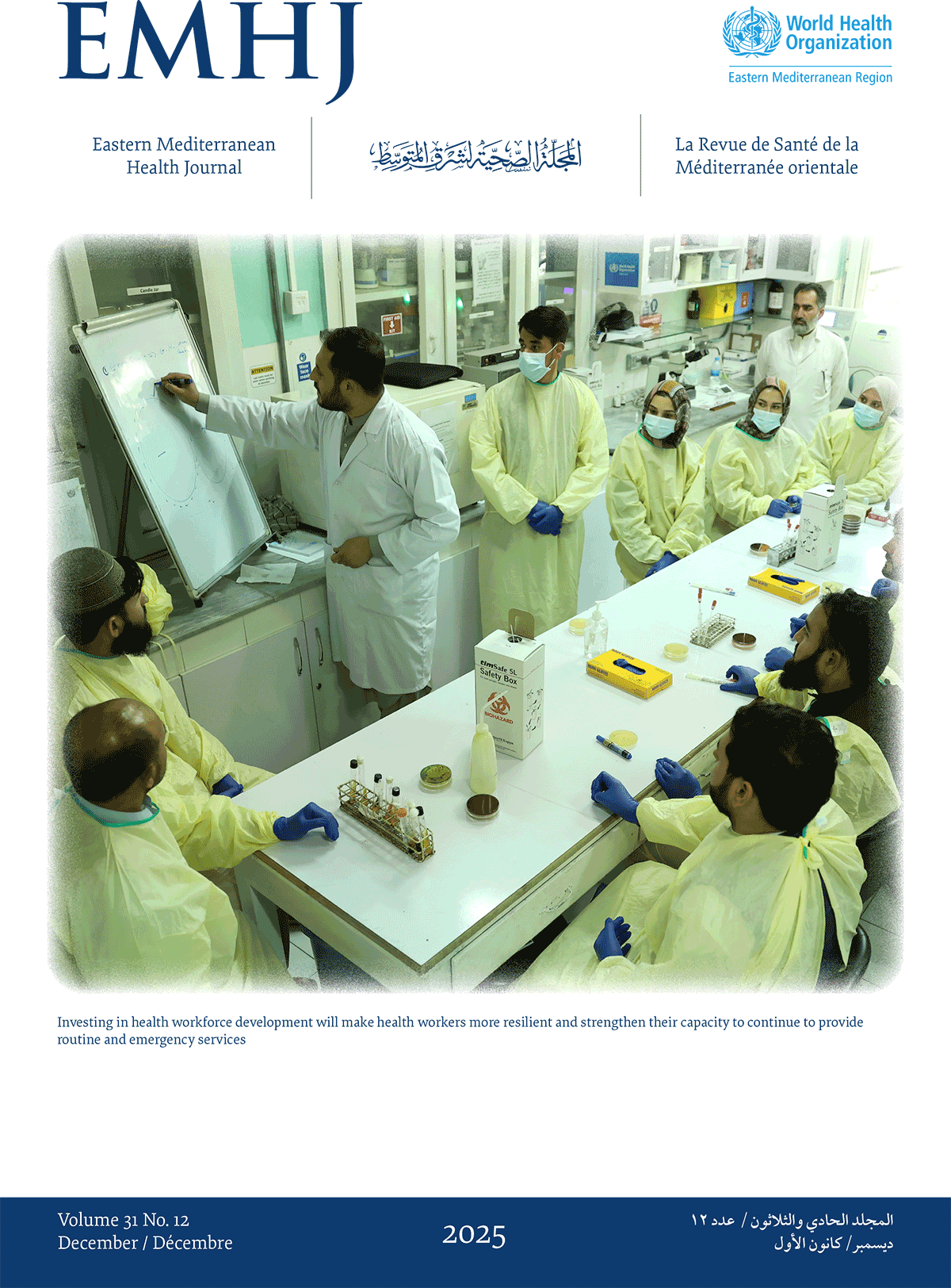 EMHJ volume 31 numbers 12