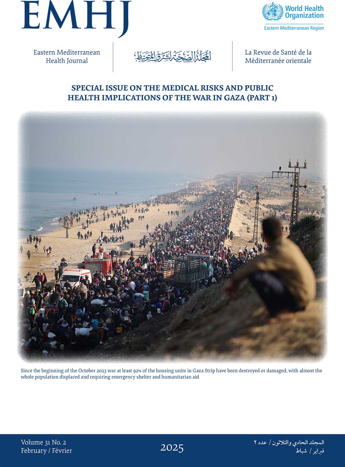 EMHJ volume 31 numbers 2