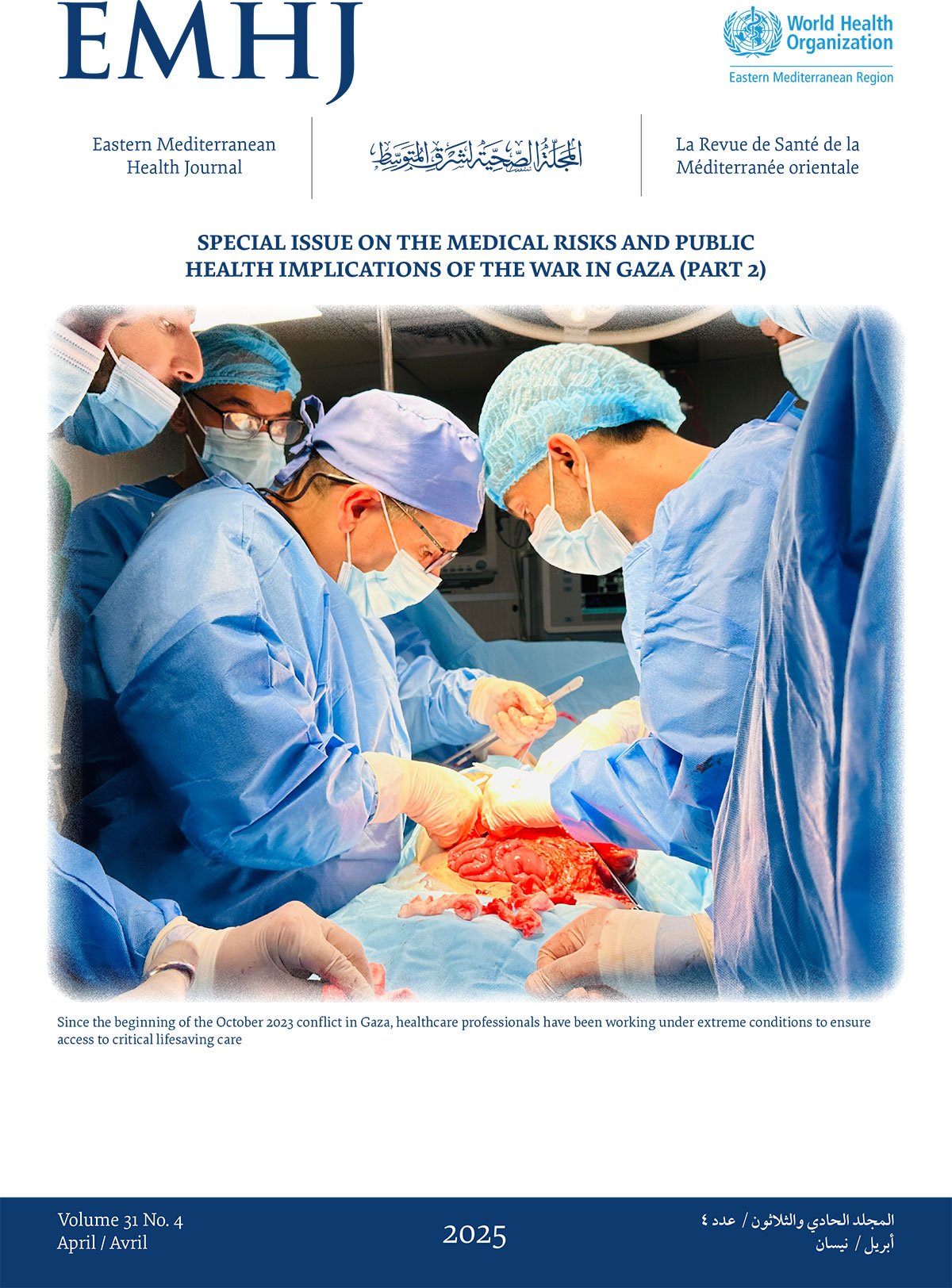 EMHJ volume 31 numbers 4