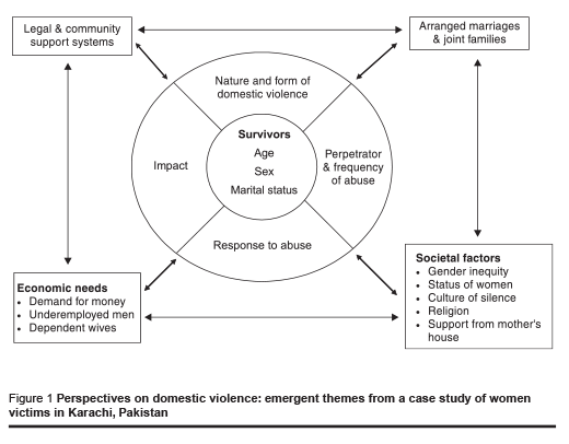 Figure 1 Perspectives on domestic violence: emergent themes from a case study of women victims in Karachi, Pakistan