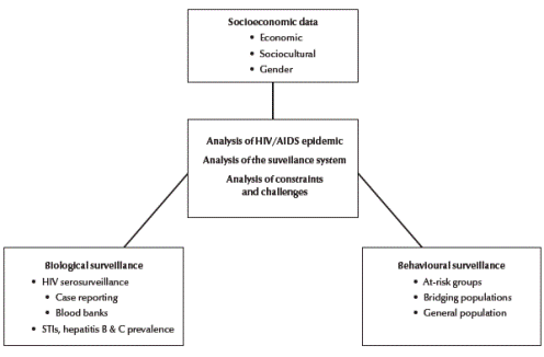 Figure 1 Framework of analysis