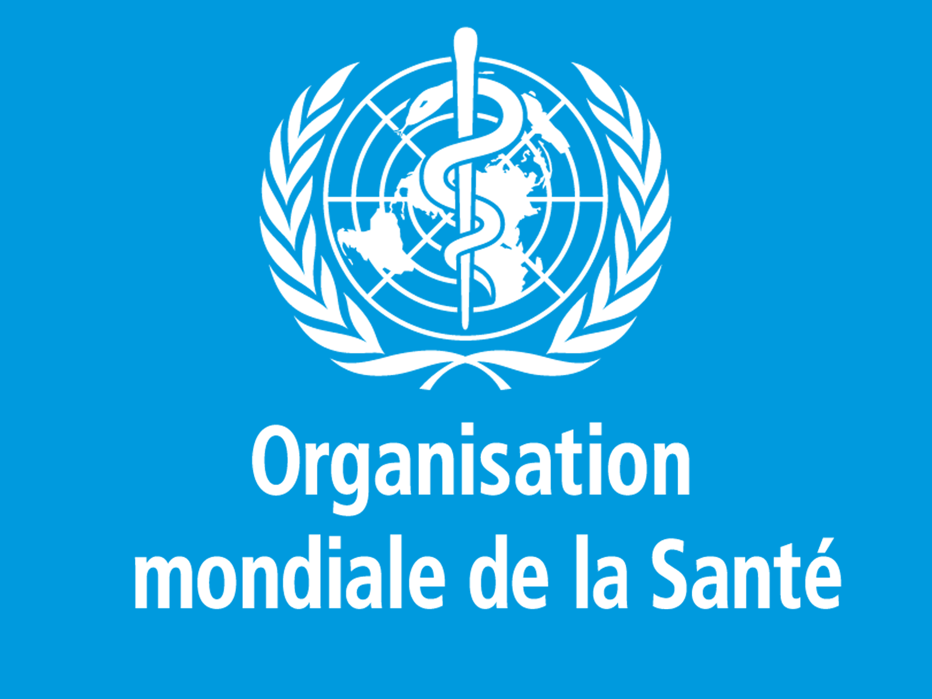 WHO logo