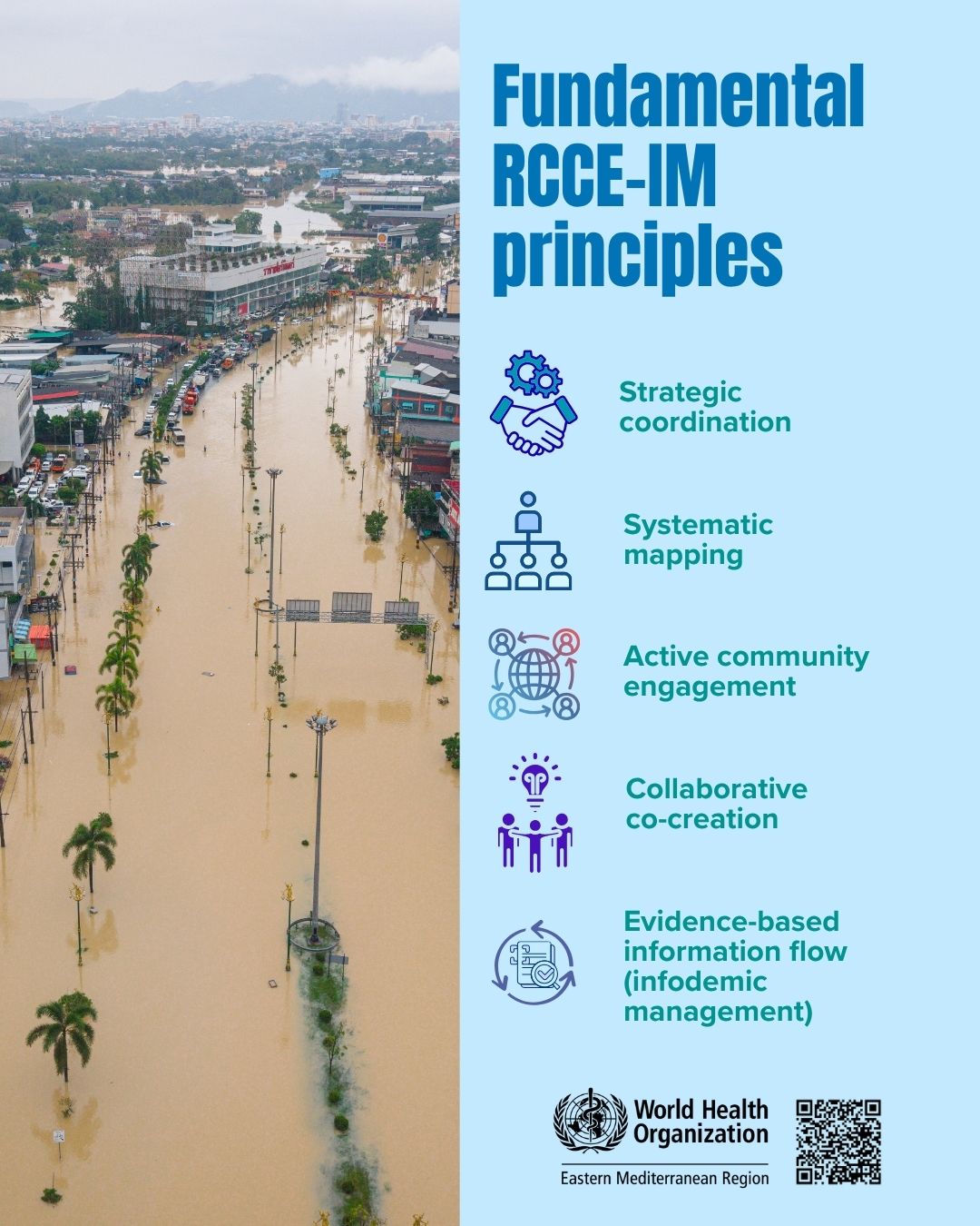 rcce-im_principles