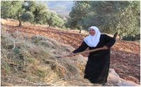 A 65-year-old woman working in the fields in Bayouda, Jordan