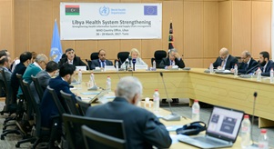Libya health system strengthening