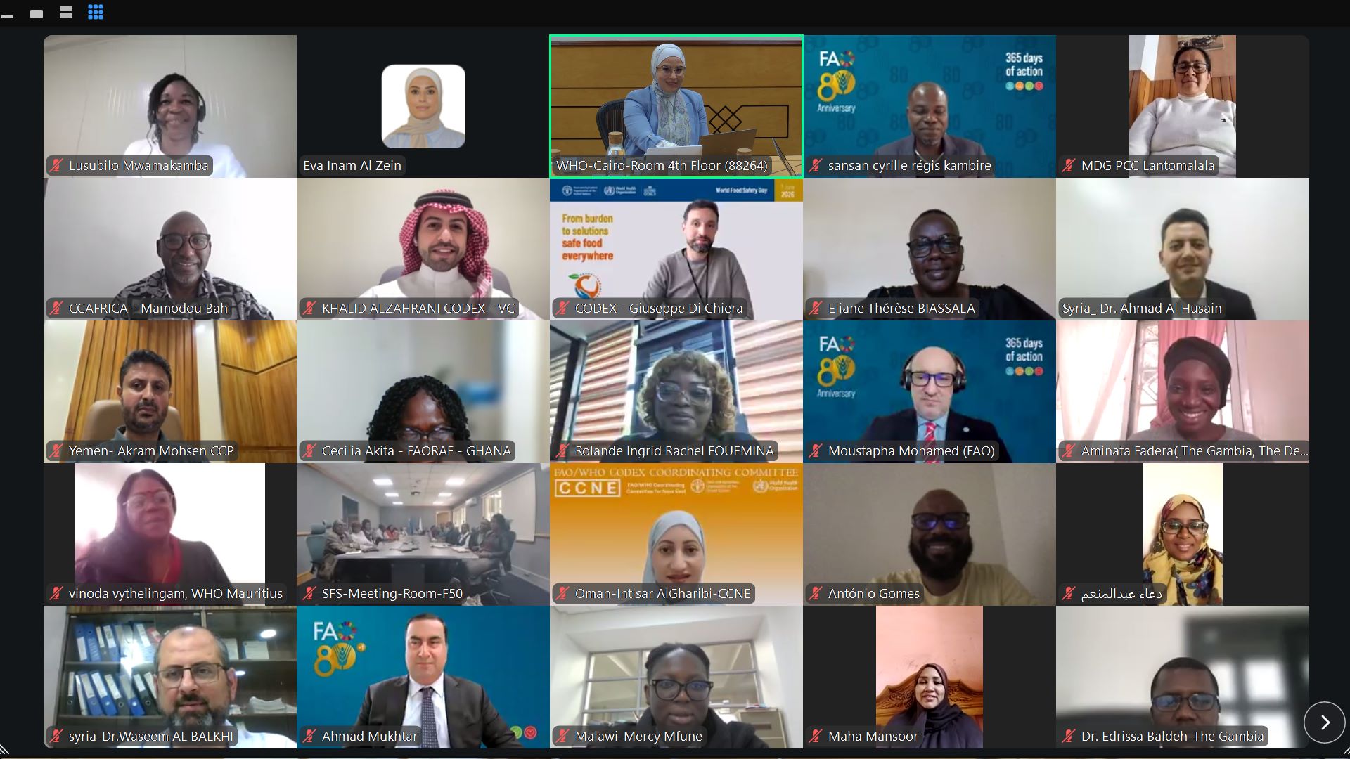 WHO and FAO drive regional collaboration to advance food safety competencies in the African, Near East and Eastern Mediterranean regions