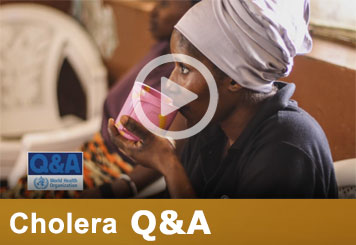 Cholera questions and answers