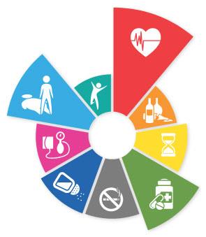 ncd_global_monitoring_framework ncd_global_monitoring_framework