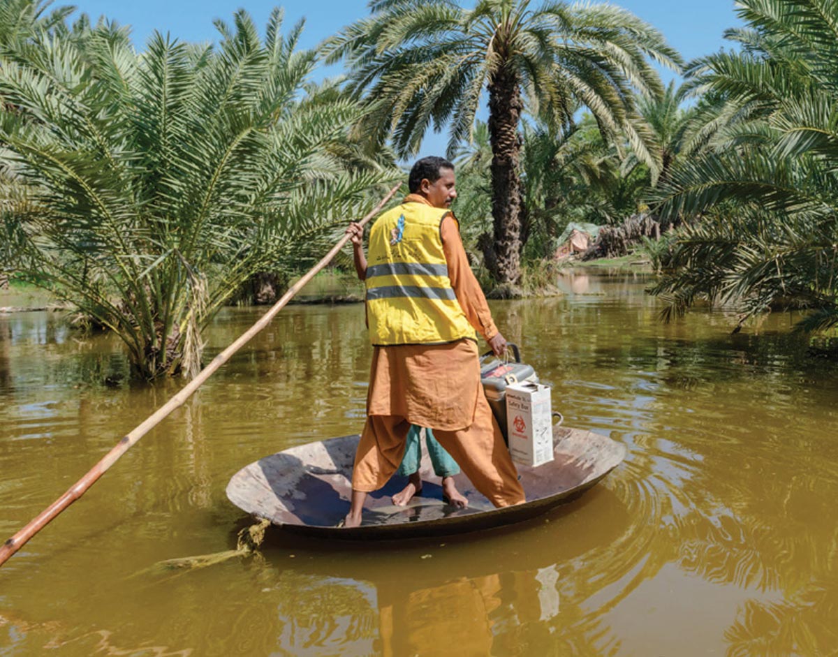 Health Emergency Situation Reports