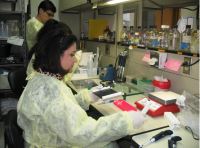 العلماء أثناء العمل في مختبر الصحة العمومية