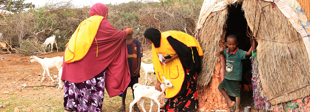 A health worker vaccinates a child from a nomadic family, Puntland. WHO/WHO Somalia