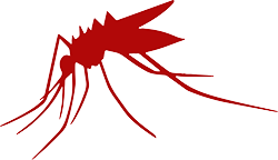 Mosquito icon