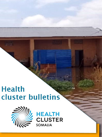 Health Cluster bulletins