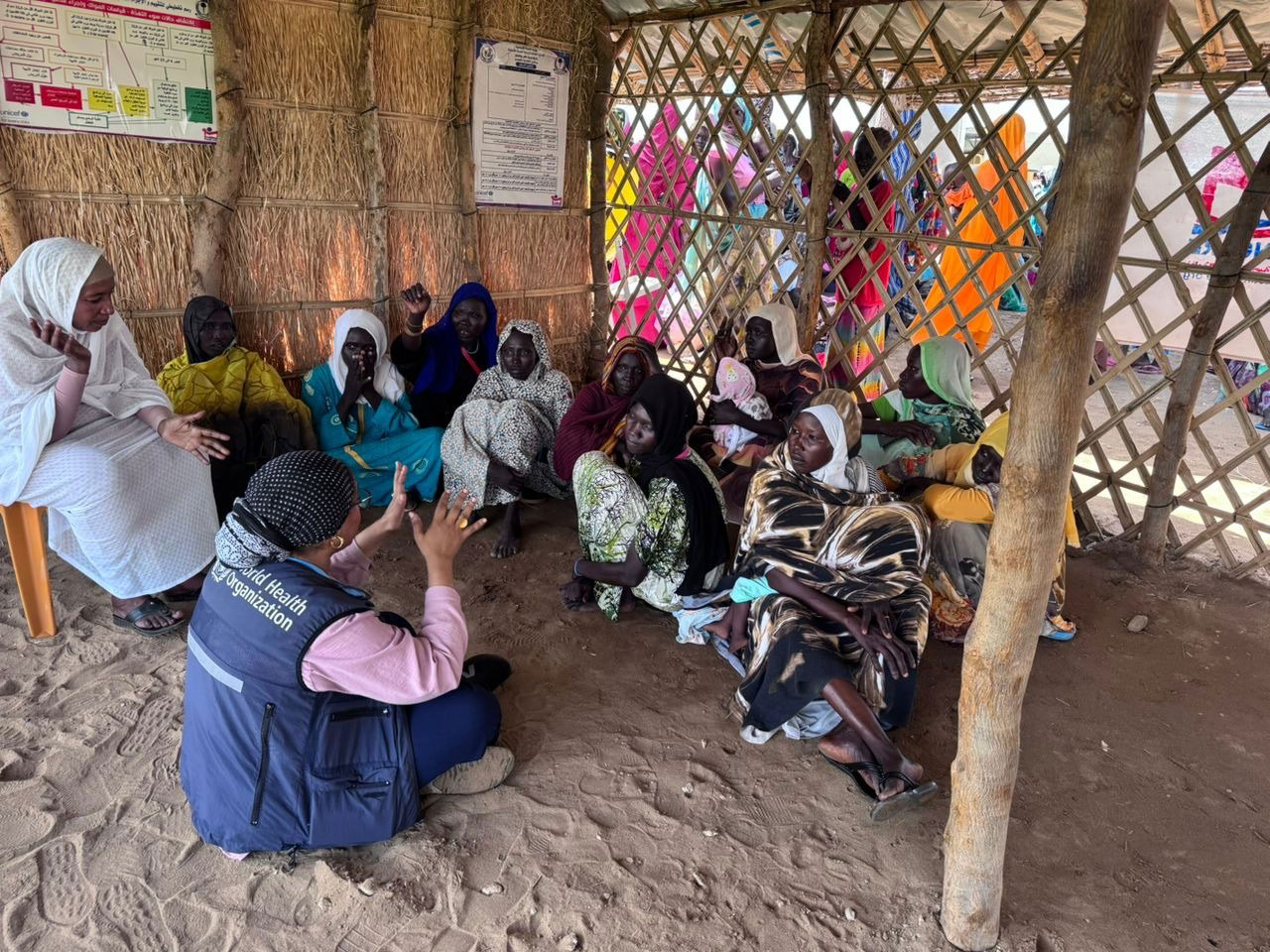 WHO Sudan Risk Communication Officer Dr Muna Abdelgadir leads a Focus Group discussion on cholera prevention with women in Karama IDP and returnees gathering site in Blue Nile State. Photo credit: WHO