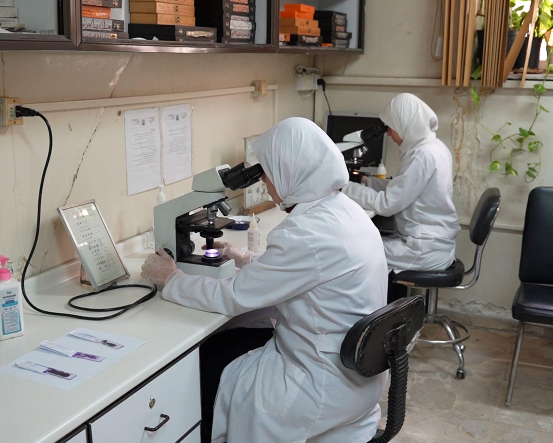 Ramia Al-Soufi, a laboratory technician, checking on the results of a patient's test. Photo credit: WHO