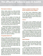 the_effects_of_tobacco_on_health the_effects_of_tobacco_on_health