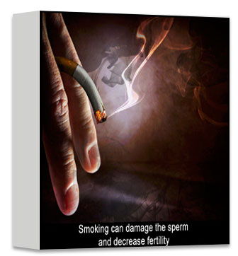 Smoking can damage the sperm and decrease fertility