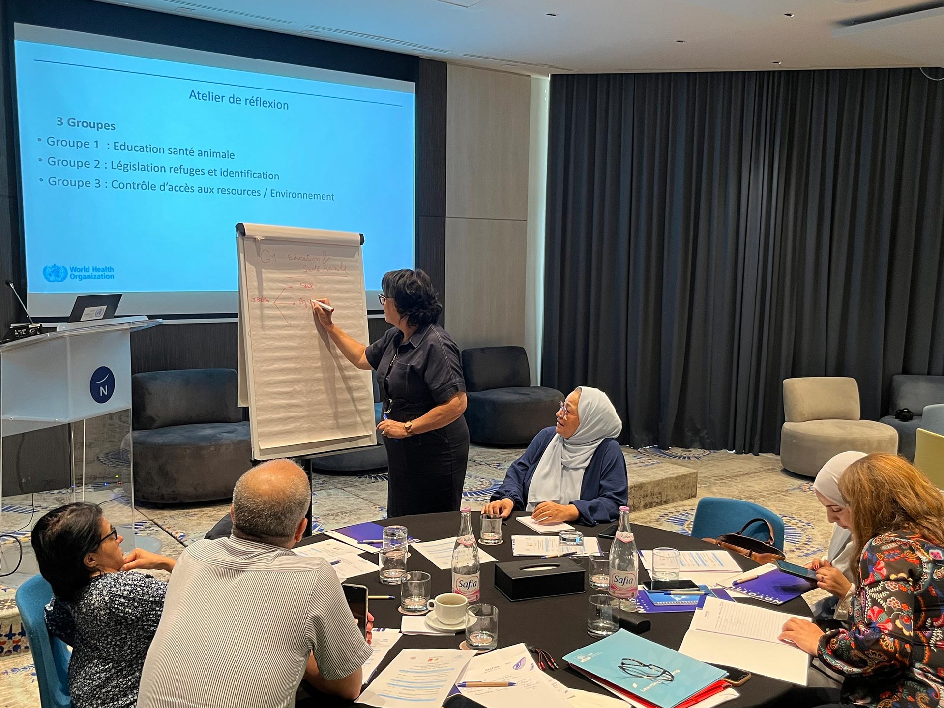 Séminaire-atelier national de suivi des activités de lutte contre la rage