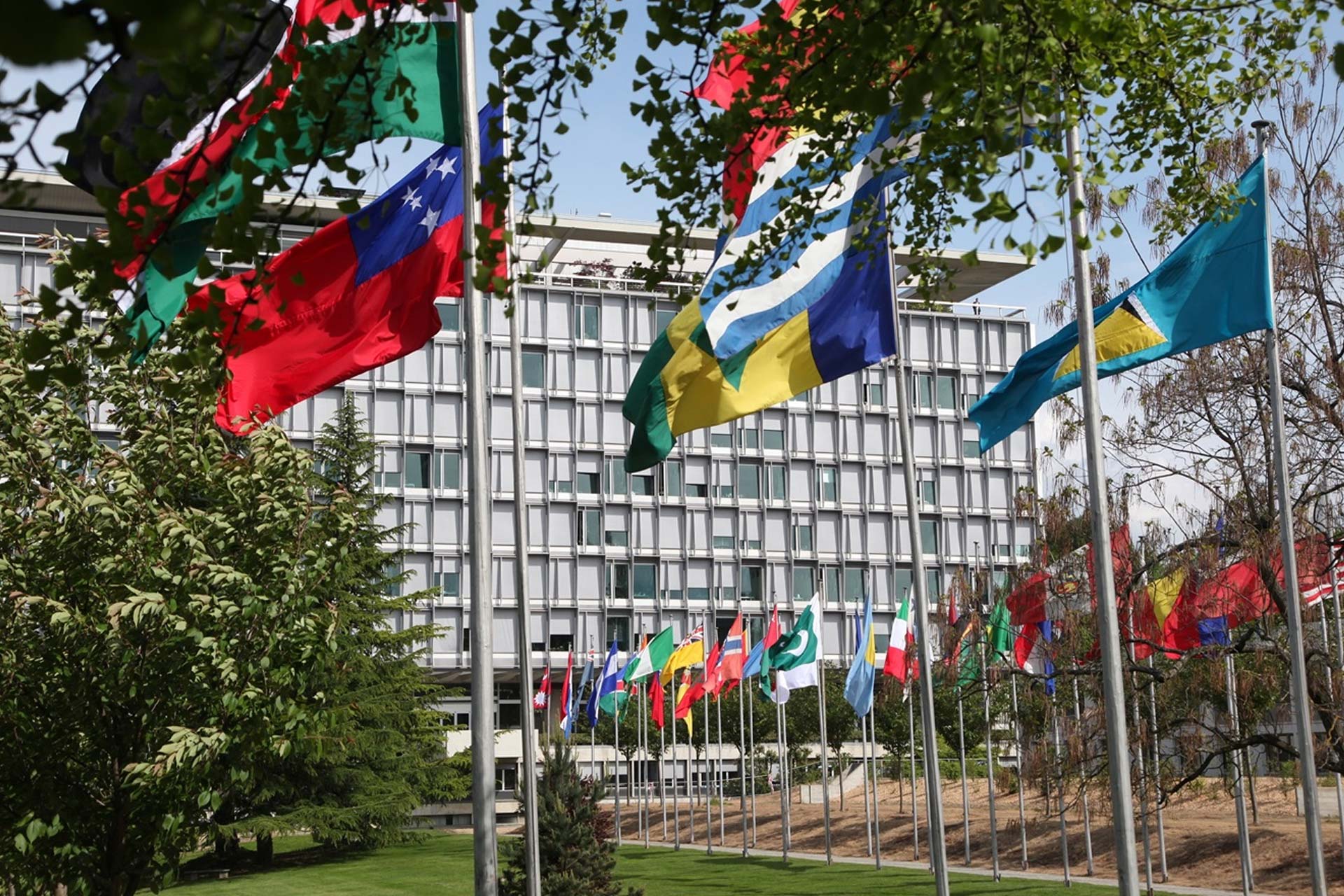 WHO heaquarters bulding with flags