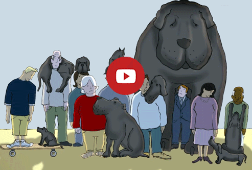 Video:I had a black dog, his name was depression